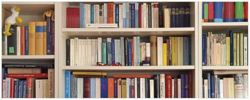 Wallario Memoboard aus Glas mit Motiv, Magnet-Tafel in 32 x 80 cm in Premium Qualität Weißes Bücherregal mit unterschiedlichen Büchern
