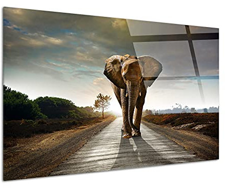 DECLINA Quadro in vetro acrilico decorativo Elefante, vetro acrilico, stampa su plexiglass, 80x50 cm