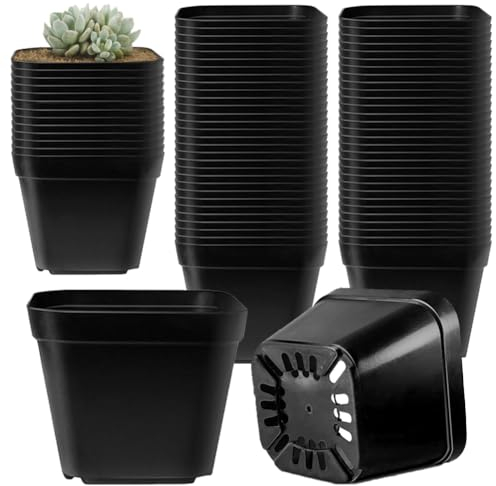SAIJIAN 50 Pezzi Vasi per Piante 10cm Vasetti per Piantine Nero Vasi per Semina con Fori di Drenaggio Vasetti per Semina Quadrati Riutilizzabili Vasi Plastica per Piante