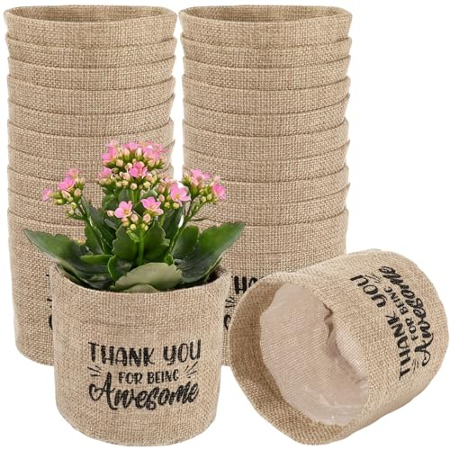 SATINIOR 24 Pcs Succulents Planter Pot Thank You for Being Awesome Succulents Wraps Bags Burlap Bag Shaped with Drainage Holes for Fruit Basket Indoor Wrap Employee Teacher Coworker Volunteer Gifts