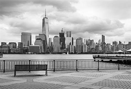 YongFoto 1,5x1m Foto Hintergrund New York Stadt Wolkenkratzer Fluss Brücke Bank verwitterte Brick Road Natur Fotografie Hintergrund Fotoshooting Portraitfotos Party Kinder Fotostudio Requisiten