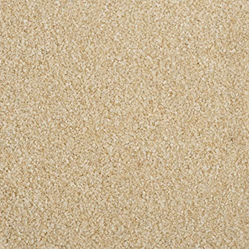 2,5 Liter Dekosand Farbsand im Eimer, 4 kg, bruchsichere Verpackung, Made in Germany (Champagner)