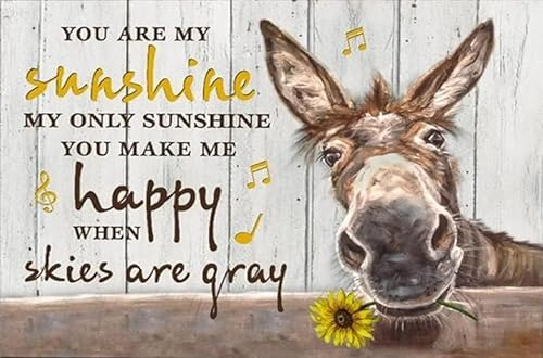 HOUVSSEN Metallschilder für den Außenbereich, Heimdekoration, Donkey You Are My Sunshine, Geschenk für Eselliebhaber, 20,3 x 30,5 cm