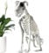 Halloween Deko Skelett Hund Sitzende, Skelett-Hund Sitzend, Hundeskelett Halloween, Hundeskelett-Dekoration, Gruselige Gruselige Skeletttiere Mit Scharfen Zähnen, Totenkopf-Welpen-Halloween-Dekor