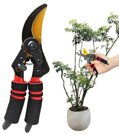 Sécateurs De Jardinage, Ciseaux Robustes Pour Usage Intensif, Coupe-Branches Et Ciseaux À Outils, Pour La Coupe Et L'Entretien Des Légumes Bonsai Arbres Et Pour Hommes Et Femmes