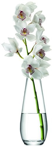 LSA International Flower Vase für lange Stiele H29cm - klar