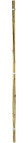 3ft High Quality Strong Bamboo Garden Canes Pack of 20 Heavy Duty Garden Canes