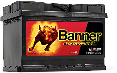 Banner 56219 Beginnend Bull 027 Beginnend Bull OEM QUALITÄT Akku