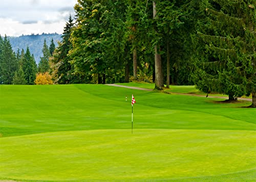 BELECO 2.1x1.5m Stoff-Golfplatz-Hintergrund,grünes Gras,Rasen,Golfflagge,Berg,Wald,Bäume,Natur,Golfsport-Hintergrund,Golf-Party-Dekoration,Geburtstagsbanner,Kinder,Erwachsene,Foto-Requisiten