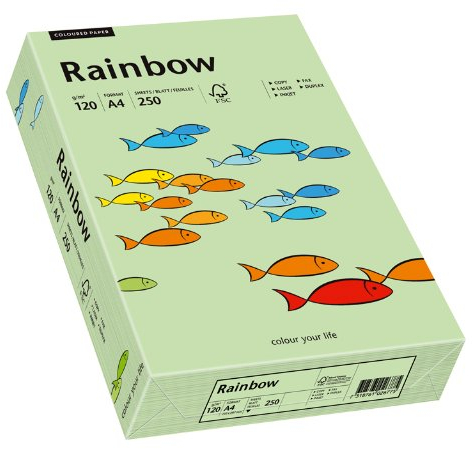 Papyrus 88042634 Drucker-/Kopierpapier farbig, Bastelpapier: Rainbow 120 g/m², A4 250 Blatt, matt, mittelgrün