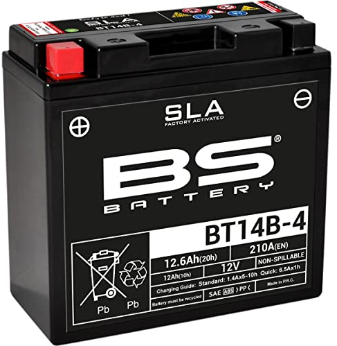 BS Battery 300644 BT14B-4 AGM SLA Batterie de Moto Noir
