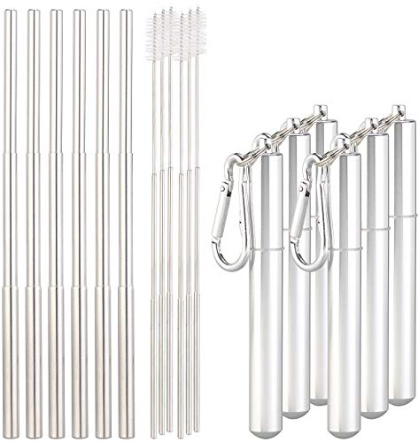 Rosenstein & Söhne Strohhalm: 6er-Set Teleskop-Edelstahl-Trinkhalme mit Bürste, Schlüsselanhängerbox (Metalltrinkhalm, Premium-Trinkhalme, Sclüsselanhänger)
