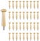 Sfcddtlg 36PCS Wooden Shaker Peg Wood Screw-2.95 Inch on Shaker Pegs Unfinished Wood Shaker Racks for Hanging Clothes Hats Towel Paint DIY (36PCS)