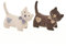 LOLAhome Pack de 2 topes de puerta decorativos con forma de animales para el hogar y la oficina, topes de puerta para interior de tela con relleno de gravilla y poliéster (Gatos)