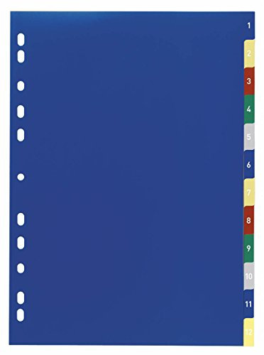 Durable Zahlenregister mit farbigen Taben, PP, 1 - 12, farbig, A4, 230 x 297 mm, 12Bl, 20er Packung, 675027