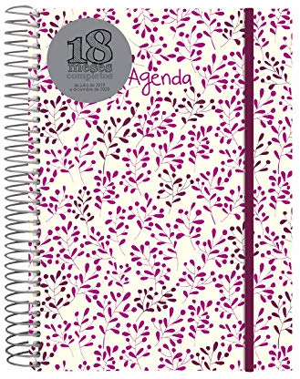 Kalender, 18 Monate, 2019-2020, 2 Tage, spanische Seite