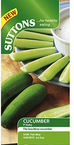 Suttons - Cucumber Seeds - F1 Baby