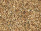 Zoomeister Aquarienkies - naturfarben 5kg 2-4 mm - Bodengrund Aquarium-Kies Kies Aquarium
