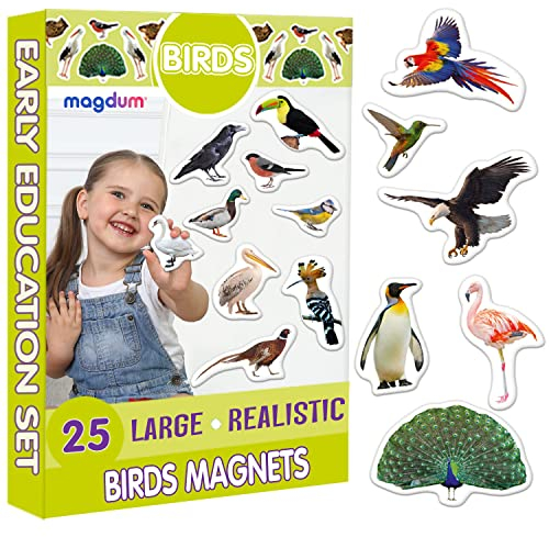 Magdum 25 Vögel FOTO Magnete Kinder für magnettafel - Magnet spielzeug kinder - Kühlschrankmagnete Kinder- KINDER MAGNETE - Kühlschrank Magnete set Kinder -Spielzeug ab 3 jahre - Lernspiele ab 3 jahre