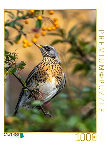 CALVENDO Puzzle Die Wacholderdrossel | 1000 Teile Lege-Größe 48 x 64 cm Foto-Puzzle für glückliche Stunden