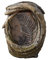 Easy Fountain Forest Fern Water Fountain, Resin, Natural, One Size