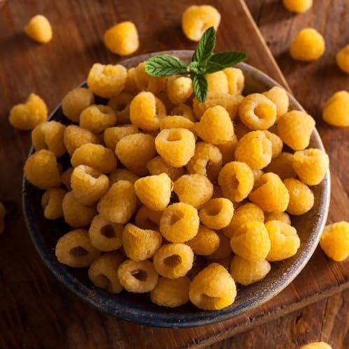 200 pcs himbeeren pflanzen winterhart samen - säulenobst obst frisch,Rubus Idaeus,himbeersamen Himbeere bonsai bäumchen kaufen ausgefallene geschenke obstbaum dekopflanzen zwergobstbäume