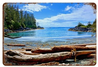 YYHMKBYY Küste des Pacific Rim National Park, Vancouver Island, Kanada,Metall-Blechschild, Posterschilder für Zuhause, Bar, Blechschild, Metallschilder, Vintage,20 x 30 cm -583