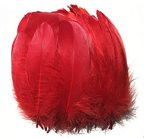 Suneast 100 Stücke Federn Dekoration Natürliche Gänsefedern Weiche Crafts Feather Indianer Federn für Traumfänger Basteln, Kostüme Hüte Schmuck Deko, DIY Ohrring - Rot, 15-20cm