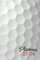 2023-2024 Monthly Planner with a Golf Ball Sports Cover: 2-Year Planner, 24 Month Calendar, January 2023-January 2025, Printed Tabs, 2-Page Spread, 6x9 Size