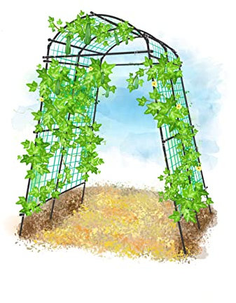 SUMGROW 7ft Tall Metal Garden Arch Arbor Tunnel Trellis Plant Support Structure for Climbing Vines Cucumber Squash Flower