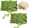 2 Rouleaux Guirlande Feuilles Artificielles, 20 Mètres Vignes Artificielles, RéUtilisable, Robuste Et Durable, LavablePour DéCor De Salle Mariage, FêTe, Jardin, DéCor Mural, Maison, Vert