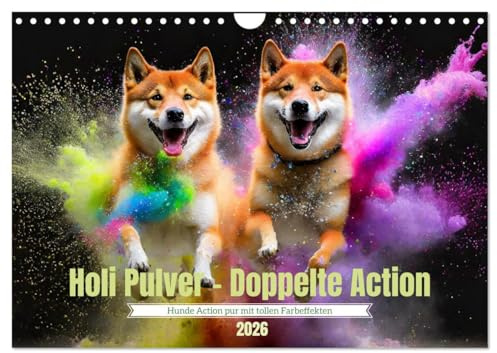 Holi Pulver - Doppelte Action (Wandkalender 2026 DIN A4 quer), CALVENDO Monatskalender: Leben ist das mit der Freude und den Farben (CALVENDO Tiere)