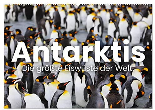 Antarktis - Die größte Eiswüste der Welt. (Wandkalender 2026 DIN A2 quer), CALVENDO Monatskalender: Vereiste Seen und Pinguine. (CALVENDO Natur)