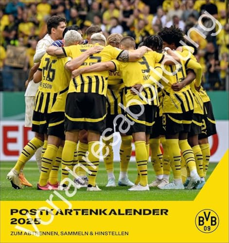 BVB Postkartenkalender 2026: Kleiner Kalender für große Fans: Die Stars von Borussia Dortmund in einem Tischkalender zum Aufstellen oder Aufhängen. ... Spieler-Postkarte. (Postkartenkalender Heye)