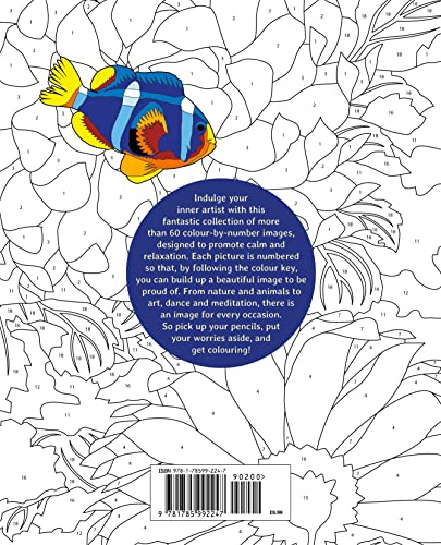 Calm Colour by Numbers (Arcturus Colour by Numbers Collection, 1)