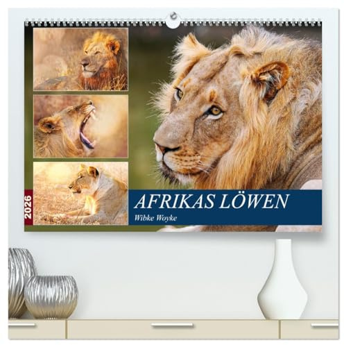 Afrikas Löwen 2026 (hochwertiger Premium Wandkalender 2026 DIN A2 quer), Kunstdruck in Hochglanz: Löwen fotografiert in ihrem natürlichen Lebensraum (CALVENDO Tiere)