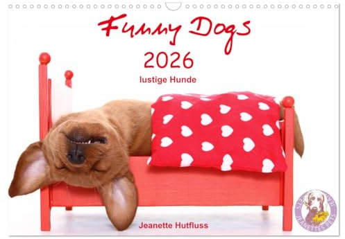 Funny Dogs (Wandkalender 2026 DIN A3 quer), CALVENDO Monatskalender: lustige Hunde (CALVENDO Tiere)
