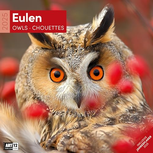 Eulen 2025, Wandkalender / Broschürenkalender im Hochformat (aufgeklappt 30x60 cm) - Art12 - Geschenk-Kalender mit Monatskalendarium zum Eintragen