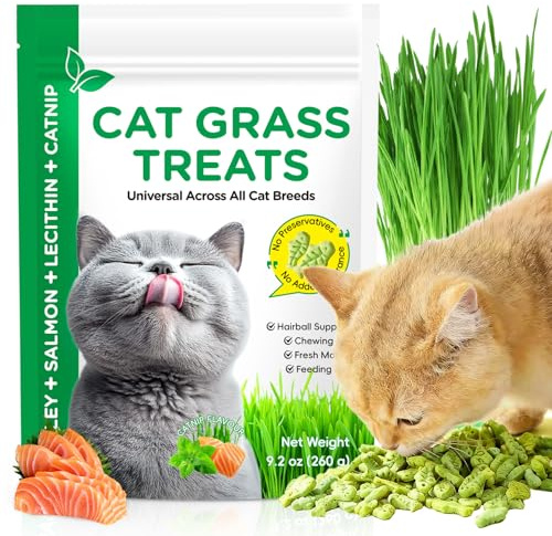 260 g d'herbe à chat - Bâtonnets d'herbe à chat lyophilisée avec herbe à chat - Herbe à chat prête à l'emploi - Bâtonnets de dentition pour les soins dentaires et le soutien des pelotes de cheveux