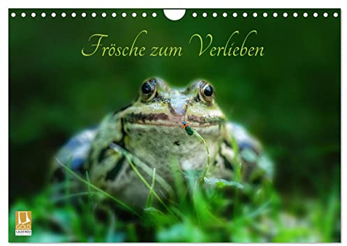 Frösche zum Verlieben (Wandkalender 2026 DIN A4 quer), CALVENDO Monatskalender: Frösche zu Land und zu Wasser (CALVENDO Tiere)