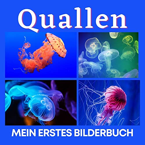 Quallen: Mein erstes Bilderbuch