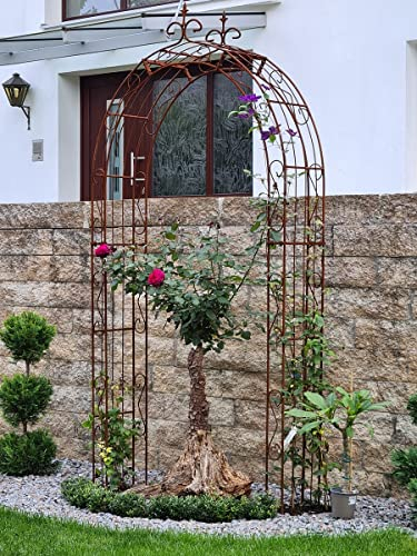 GardenAndPools Rosenbögen Paris Lilie Spitze Pergola Rozenboog Arco da Giardino Bogen (140, Schwarz)