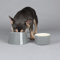 Scruffs Classic 2 Piece Flat Faced Dog Bowl & Water Bowl - 20cm | 18cm - Grey