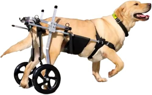 Rmeet Medium and Large Dog Wheelchair, Rehabilitation Aid Hind Leg Brace,Dog Carts with Wheels,for Hind Legs Rehabilitation,XXXL