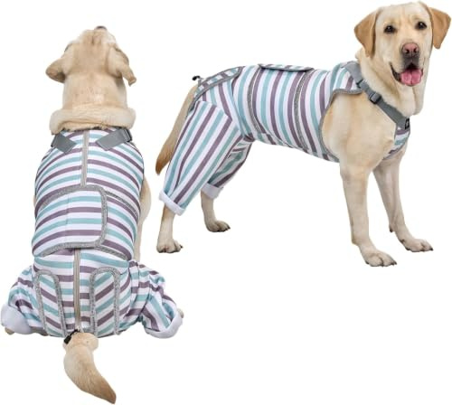 Arblina Hundbody efter OP, andningsbar hund återhämtningsdräkt för bakben, OP-body hund för små/medel/stora hundar, män/kvinnliga hundar, onesie, efter operationen, blå, XL