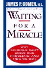 Waiting for a Miracle: Why Schools Can't Solve Our Problems-And How We Can