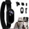 Fiorky Cat Dog Collar Camera for Pet,HD 1080P Wireless No WiFi Needed Pet Nanny with Video Records Cats Dogs Birthday Gift Sports Camera,(1hp1ms9ks0sa8nh1kz3)