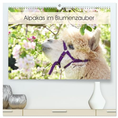 Alpakas im Blumenzauber (hochwertiger Premium Wandkalender 2026 DIN A2 quer), Kunstdruck in Hochglanz: Gemeinsam mit der Blumenpracht und der ... Raum ein echter Hingucker. (CALVENDO Tiere)