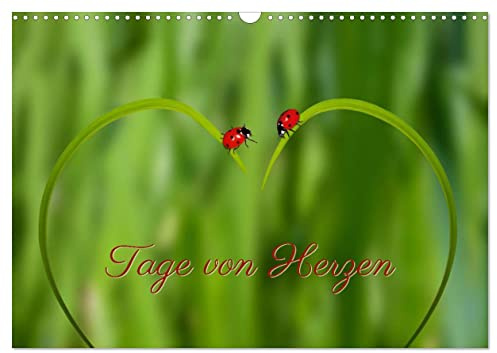 Tage von Herzen (Wandkalender 2026 DIN A3 quer), CALVENDO Monatskalender: Geburtstagskalender mit Platz für Notizen (CALVENDO Lifestyle)