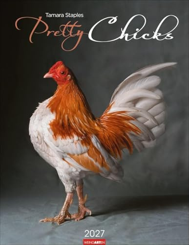 Pretty Chicks Kalender 2027: Tier-Wandkalender. Ungewöhnliches Fotokunst-Projekt der Fotografin Tamara Staples. Rasse-Hühner von ihrer besten Seite im Fotokalender. 34x44 cm Hochformat